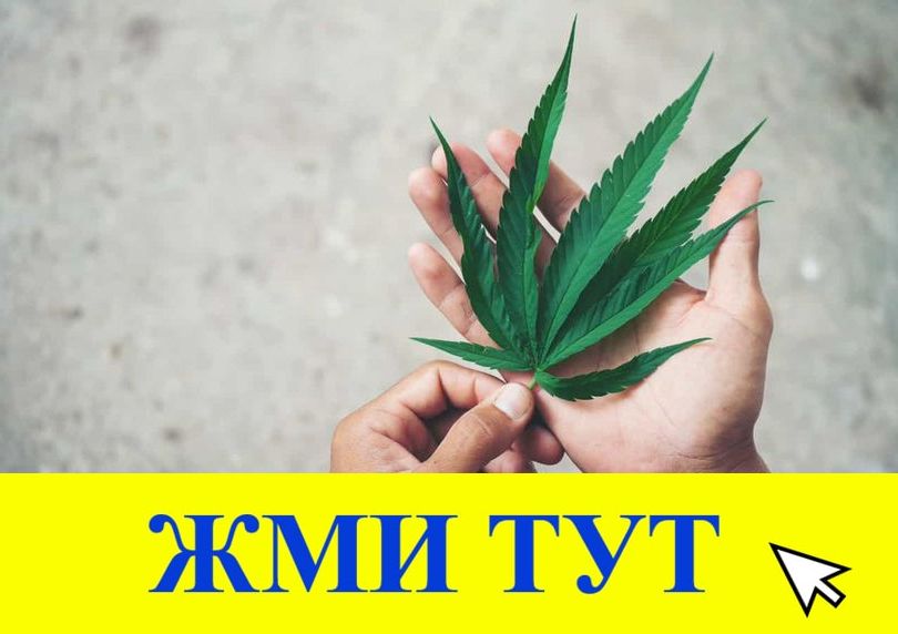 Купить наркотики в Тимашёвске